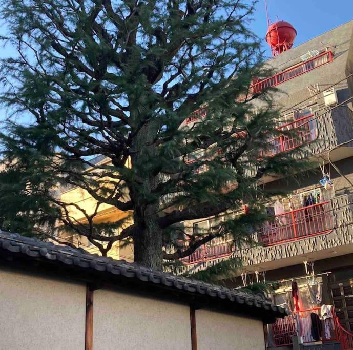 Apartment Us311山手线上野日本著名设计师设计公寓，直达上野2分直达新宿，涉谷，秋叶原，东京，便利店饮食店满载