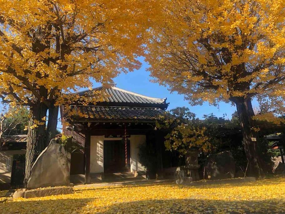 Apartment Us311山手线上野日本著名设计师设计公寓，直达上野2分直达新宿，涉谷，秋叶原，东京，便利店饮食店满载